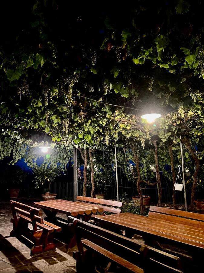 Danya Country Villa Sansepolcro Eksteriør billede